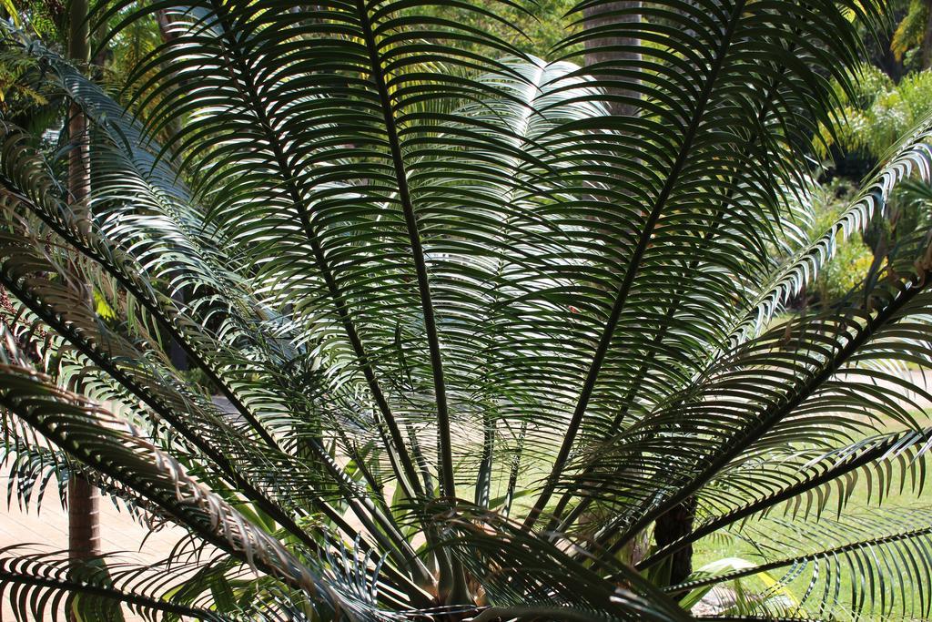 Korora Bay Village Resort Exteriér fotografie